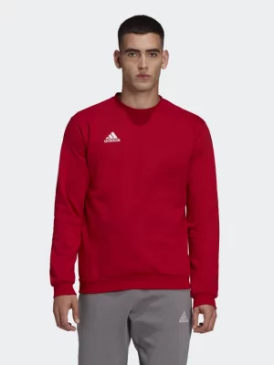 ADIDAS Duks HB0577