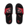 Papuqe Under Armour 3022711-001