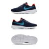 NIKE TANJUN 818381 408