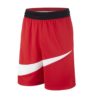 Shorce Për Meshkuj NIKE BV9385-657