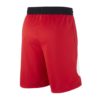 Shorce Për Meshkuj NIKE BV9385-657