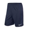 Shorce Për Meshkuj NIKE 725887-410