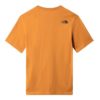 Maicë Për Meshkuj THE NORTH FACE NFA7R3AHBX1