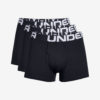 Underwear Under Armour 1327424-001
