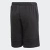 Shorce Për Fëmijë ADIDAS GJ6619