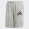 Shorce Për Fëmijë ADIDAS GJ6620