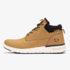 SERGIO TACCHINI STM121105-04