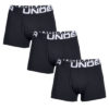 Underwear Under Armour 1327424-001