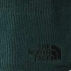 THE NORTH FACE Kapele NF0A3FNSD7V1