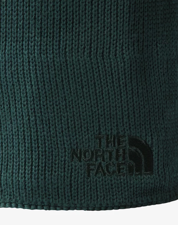 download (1) THE NORTH FACE Kapele NF0A3FNSD7V1