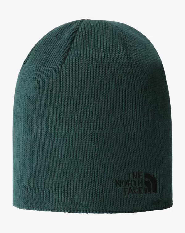 download THE NORTH FACE Kapele NF0A3FNSD7V1