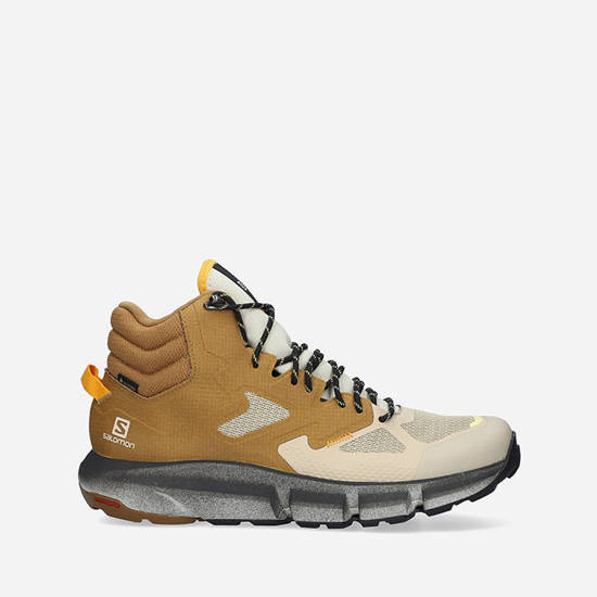 SALOMON PREDICT HIKE MID GTX 414612