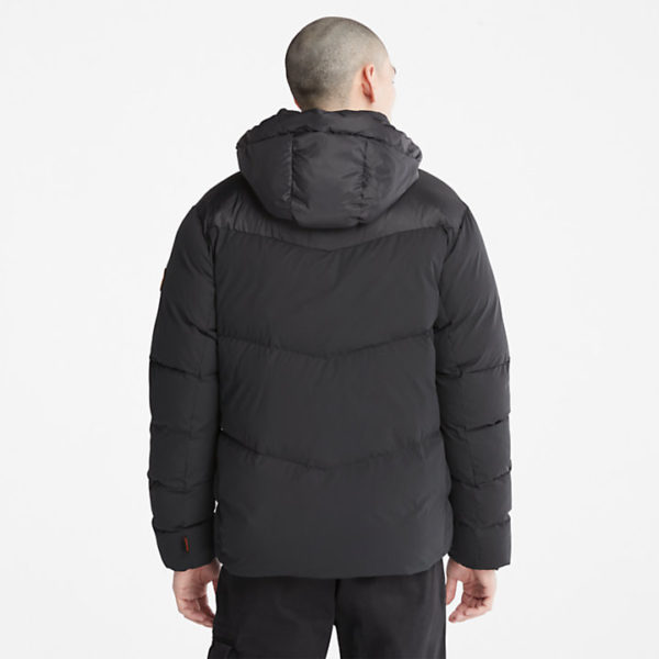 TIMBERLAND Jakne A2G9R-001