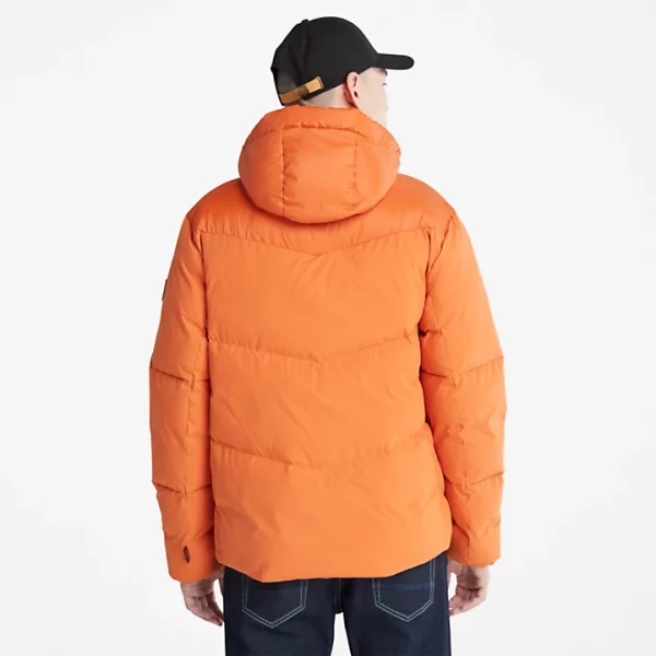 TIMBERLAND Jakne A2G9R-643