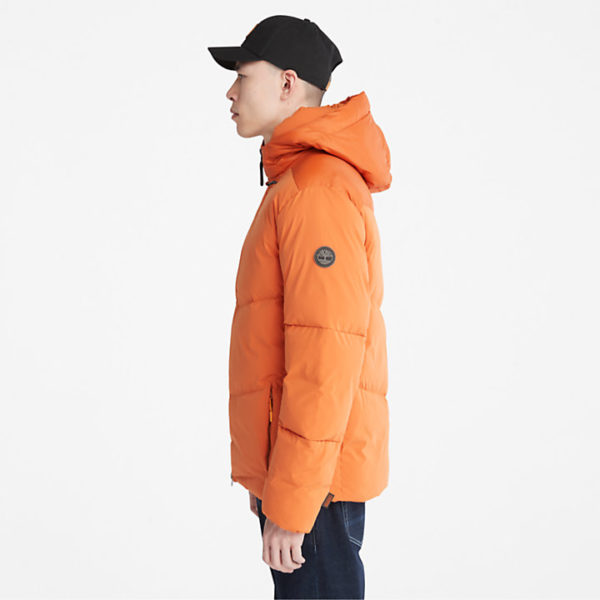 TIMBERLAND Jakne A2G9R-643