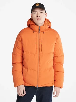 TIMBERLAND Jakne A2G9R-643