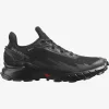 SALOMON ALPHACROSS 4 GTX W L47064100