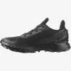 SALOMON ALPHACROSS 4 GTX W L47064100