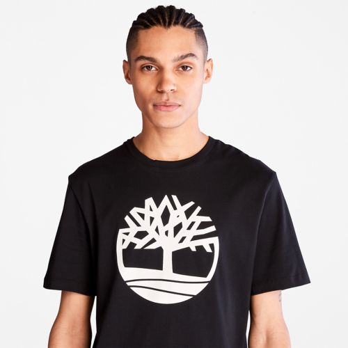 A2C2R001-ALT4 TIMBERLAND Maice A2C2R-001