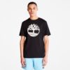 TIMBERLAND Maice A2C2R-001