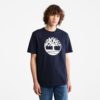 TIMBERLAND Maice A2C2R-433