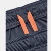 UNDER ARMOUR Shorce 1365416-045