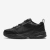 NIKE MONARCH IV 415445-001