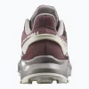 SALOMON ALPHACROSS 4 GORETEX W L47117400
