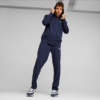 PUMA Trenerka Komplet 675967-06