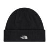 THE NORTH FACE Kapele NF0A5FVZJK3