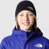 THE NORTH FACE Kapele NF0A7WG7JK3