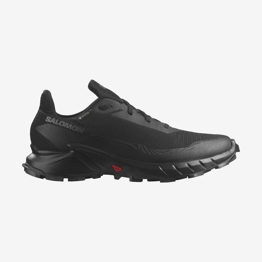 alphacross-5-gtx-l47307500-188ca8 SALOMON ALPHACROSS 5 GORETEX L47307500