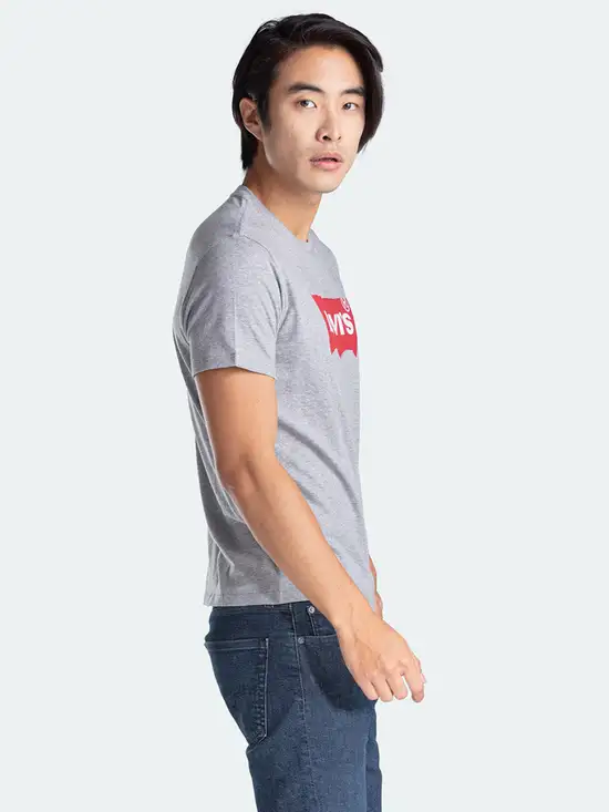 levis-graphicsetinneckgraphich215midtonehtr177830138grey-mkp1192264-3 LEVI'S Maice 17783-225