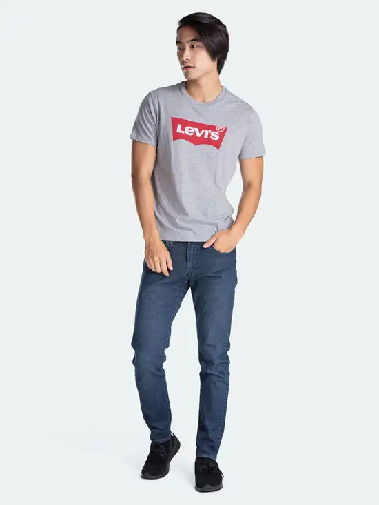 levis-graphicsetinneckgraphich215midtonehtr177830138grey-mkp1192264-4 LEVI'S Maice 17783-225