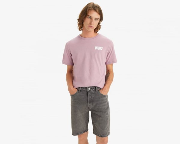 levis_t-shirts-estampada_masculino_classic-graphic-tee-22491-1508_batwing-dusty-orchid_1 LEVI'S Maice 22491-1508