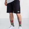 THE NORTH FACE Shorce NF0A87DFJK3-REG