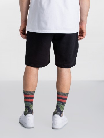 THE NORTH FACE Shorce NF0A87DFJK3-REG