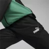 PUMA Trenerka Set 678887-86