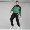 PUMA Trenerka Set 678887-86
