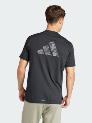 IT2124 23 hover model