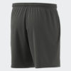 ADIDAS Shorce IR9168