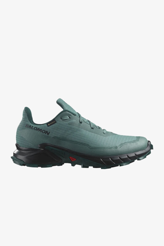 SALOMON ALPHACROSS 5 GTX L47595000