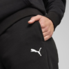 PUMA Trenerka Set 683091-01