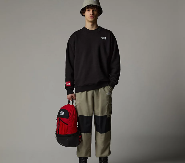 THE NORTH FACE Duks UNISEX NF0A89G0JK31