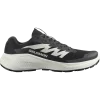 SALOMON ALPHAGLIDE L47801000