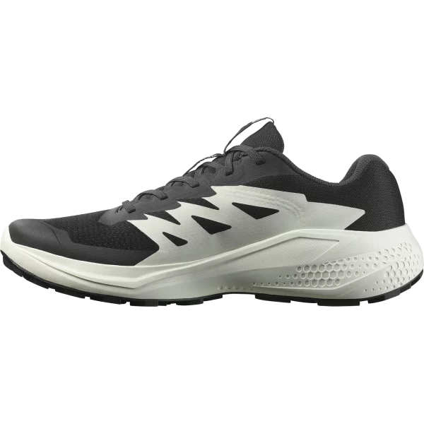 L47801000_1_GHO_ALPHAGLIDEBlack_Phantom_Icicle_1600x SALOMON ALPHAGLIDE L47801000
