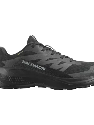 SALOMON ALPHAGLIDE GORETEX L47802100