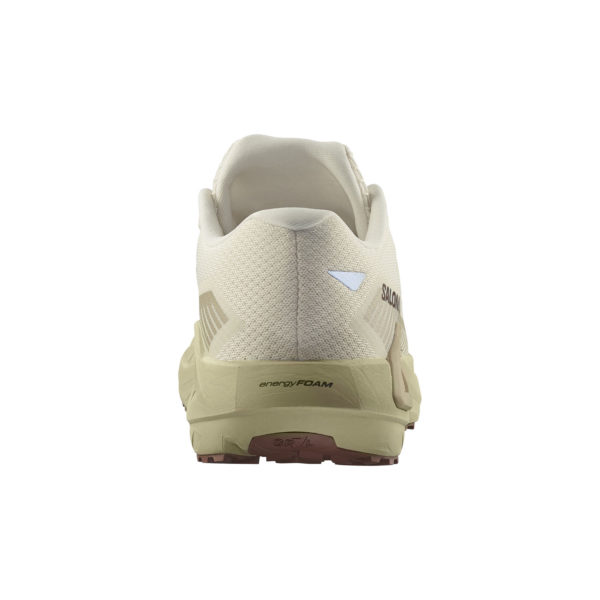 l47809600_E SALOMON DRX DEFY GRVL L47809600