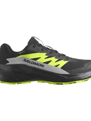 SALOMON ALPHAGLIDE GORETEX L47802000