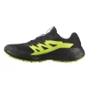 SALOMON ALPHAGLIDE GORETEX L47802000